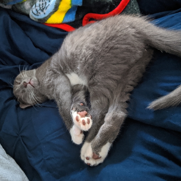 Meet your Posher, jorge. - Picture 1 of 1